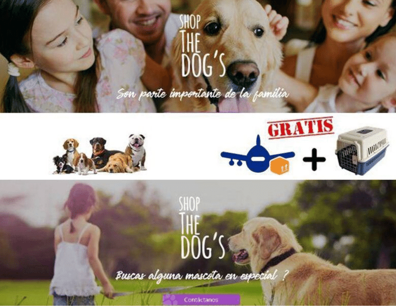 Shop The Dogs Envio A Domicilio